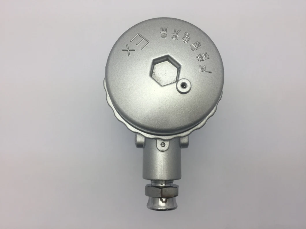 Terminal Head Silvery Thermocouple Head Ts/Tl with 2 Poles Terminal Block