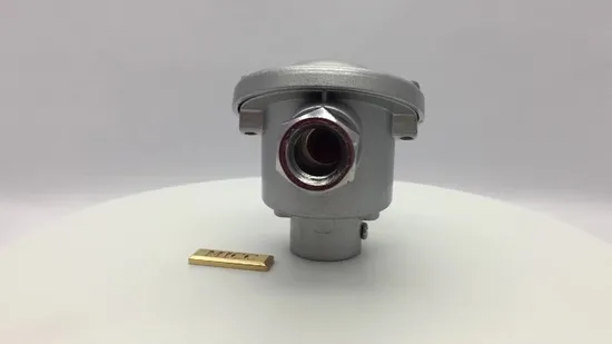 2 Poles Water-Proof Thermocouple Terminal Head