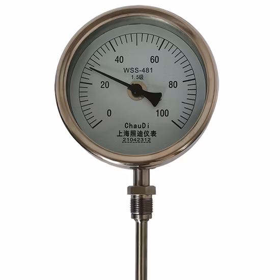 Indication de l'aiguille de la jauge de température bimétallique -40-600º C Thermomètre bimétallique en acier inoxydable